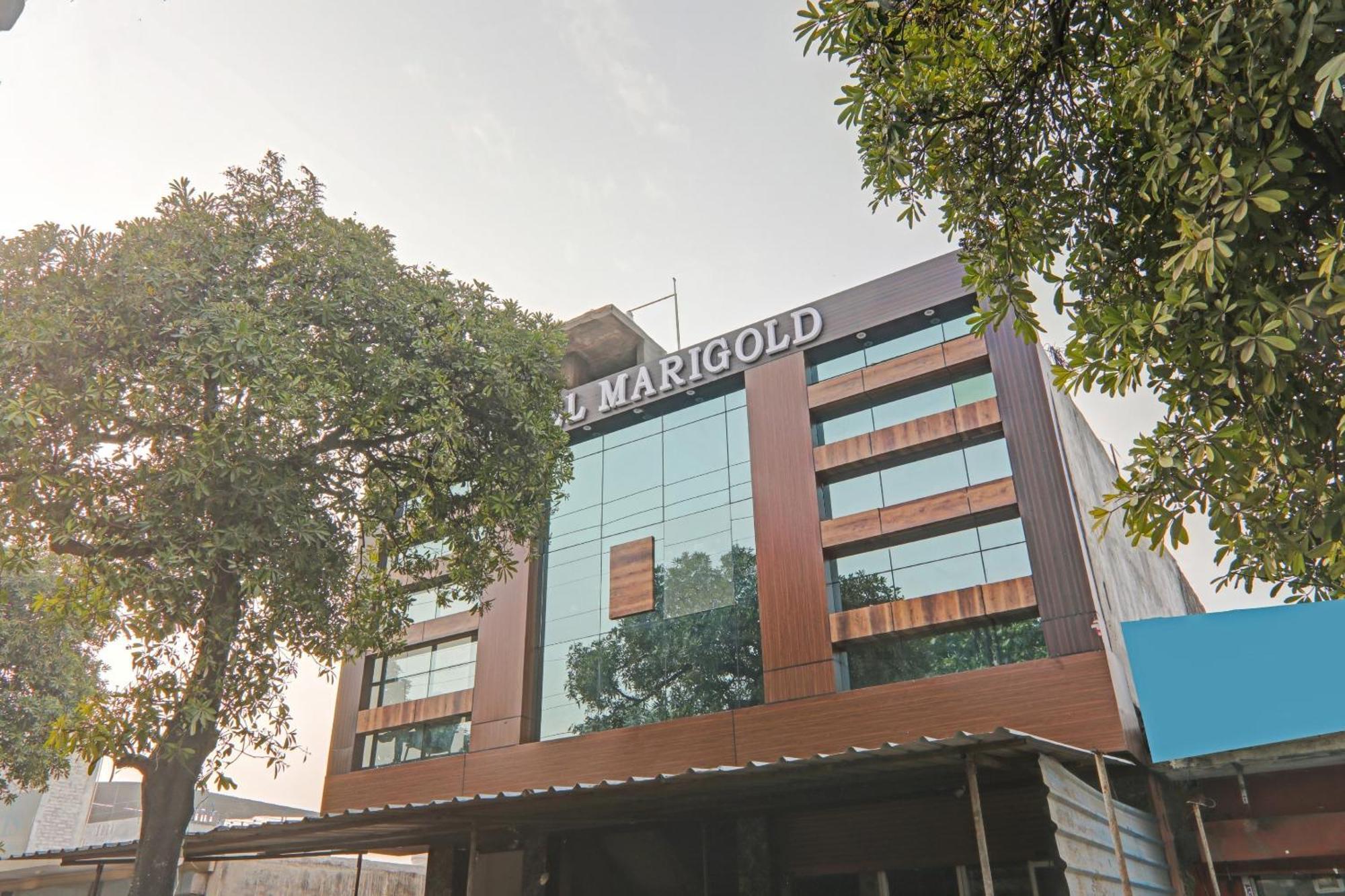 Collection O Hotel Marigold Kanpur Exterior foto